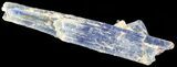 Vibrant Blue Kyanite Crystal - Brazil #56942-1